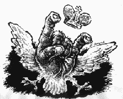 3.gif