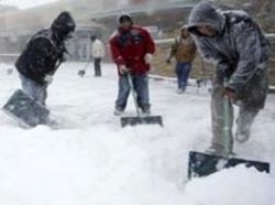 big_514567_germany_crime_prestupleniya_nakazanie_siberia.jpg