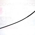 pavelvm