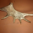 koli4