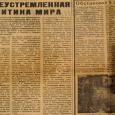 Pavel42