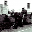 Mentol
